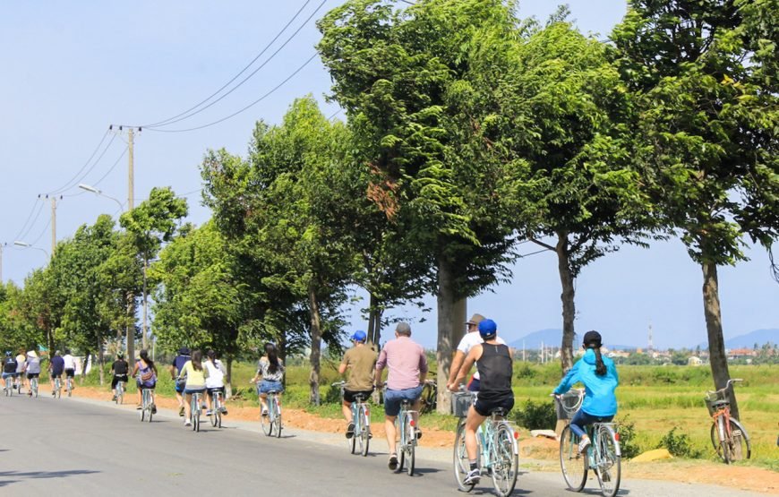 Vietnam 10 – Day Culinary And Beach Tour