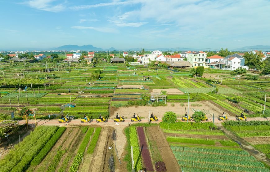 Vietnam 13 – Day Heritage And Golden Bridge Tour
