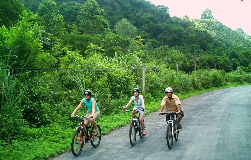 Vietnam 13 – Day Heritage And Golden Bridge Tour