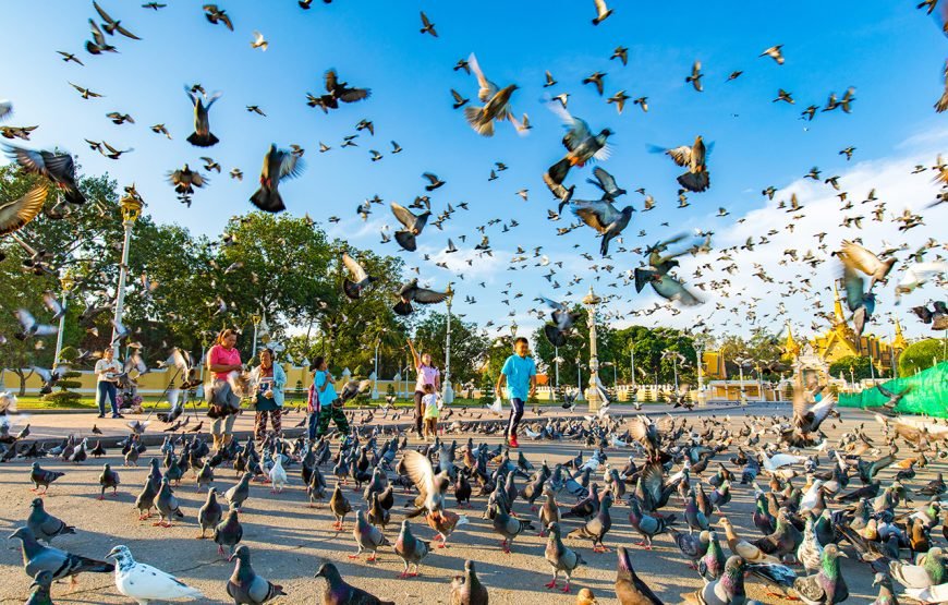 Cambodia 6 – Day Phnom Penh To Angkor Tour