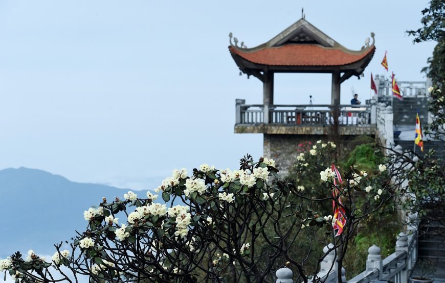Entry ticket: Sun World Fansipan Legend – Cable car