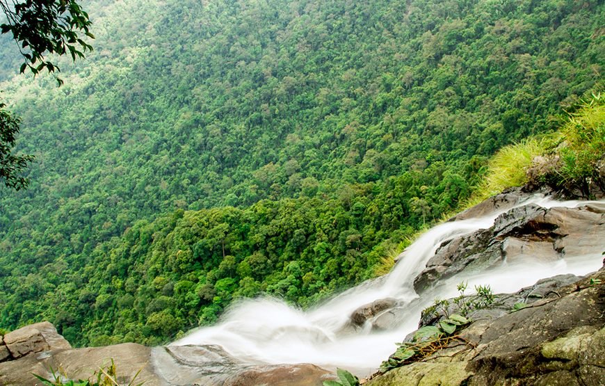 Full-day Bach Ma National Park Trek And Beach Retreat