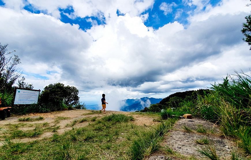 Full-day Bach Ma National Park Trek And Beach Retreat