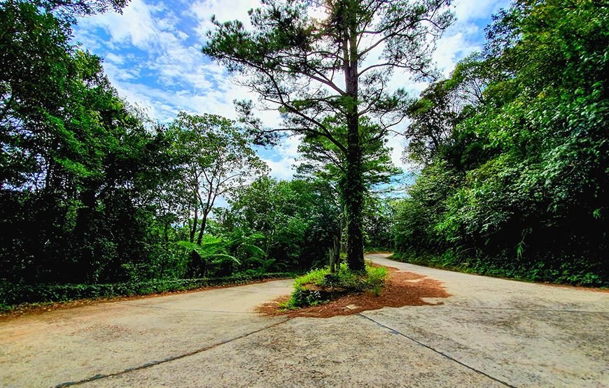 Full-day Bach Ma National Park Trek And Beach Retreat