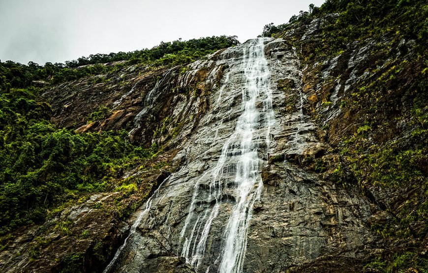 Full-day Bach Ma National Park Trek And Beach Retreat