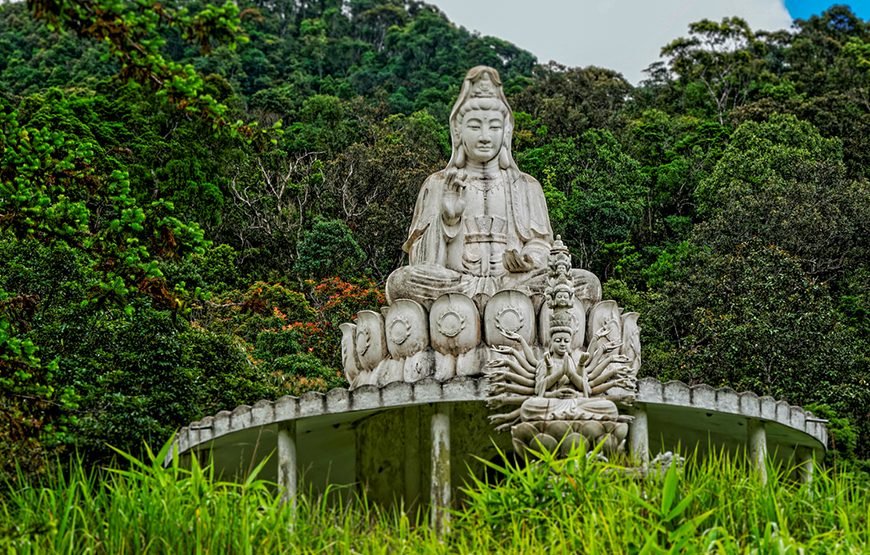 Full-day Bach Ma National Park Trek And Beach Retreat