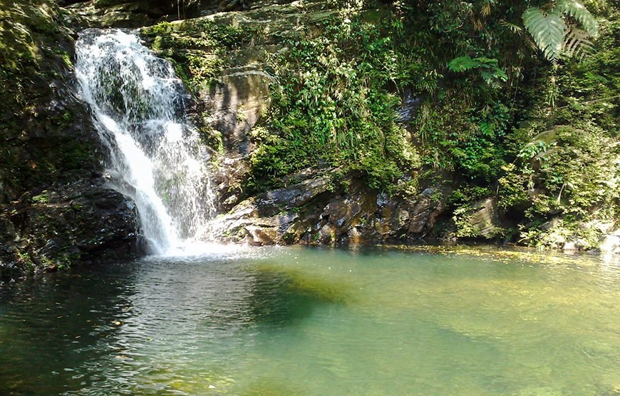 Full-day Bach Ma National Park Trek And Beach Retreat