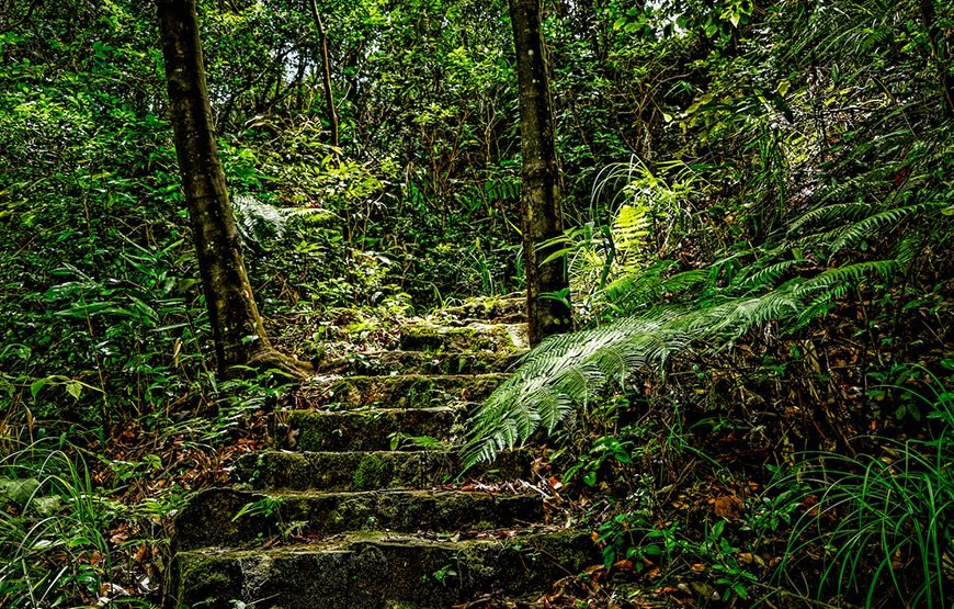 Full-day Bach Ma National Park Trek And Beach Retreat