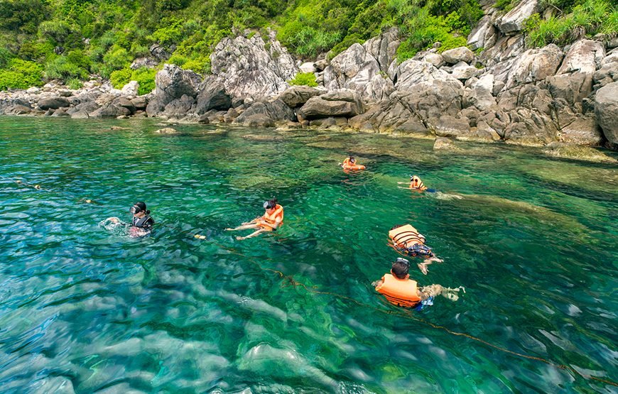 Full-day Cham Island Discovery & Snorkeling From Hoi An