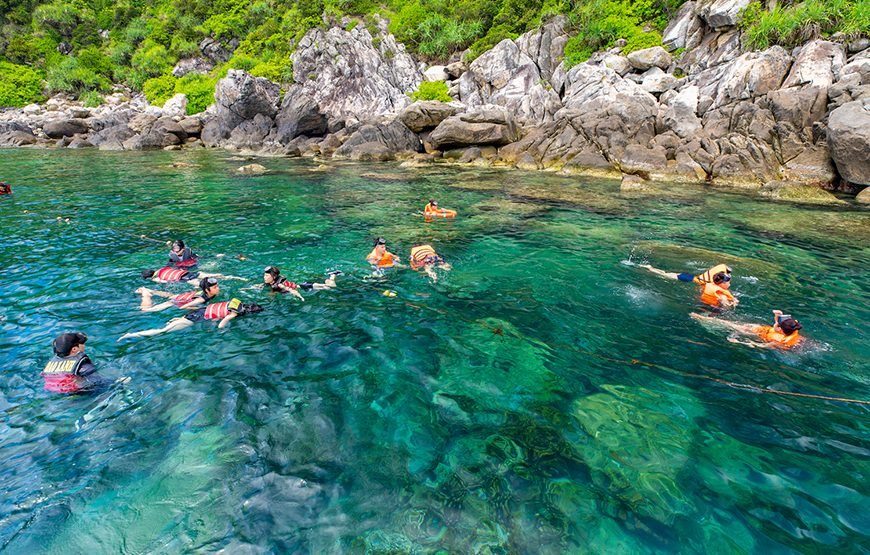 Full-day Cham Island Discovery & Snorkeling From Hoi An