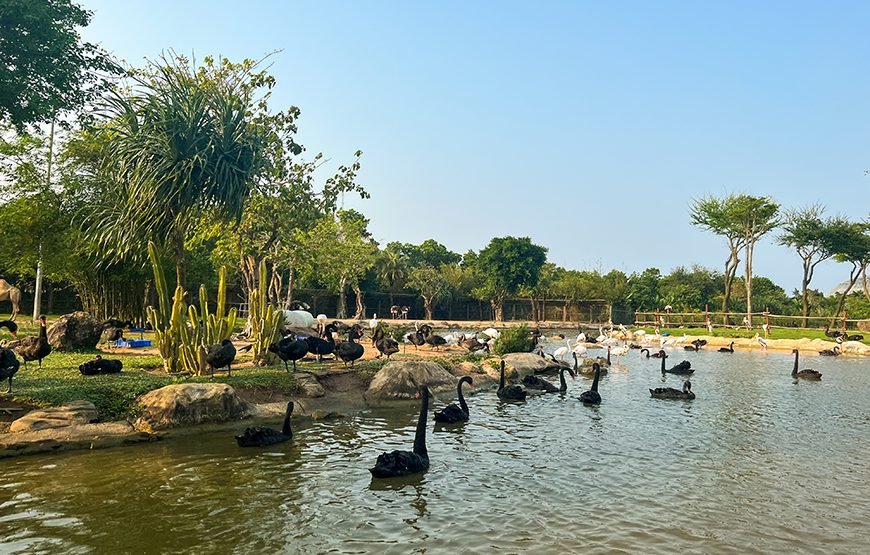 South Hoi An River Safari With Candle-lit Beach Dinner