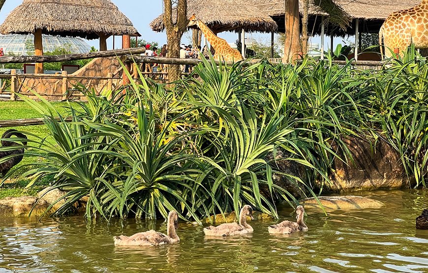 South Hoi An River Safari With Candle-lit Beach Dinner