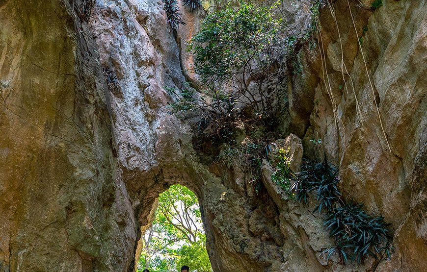 Private tour: Half-day Marble Mountains And Son Tra Peninsula Exploration