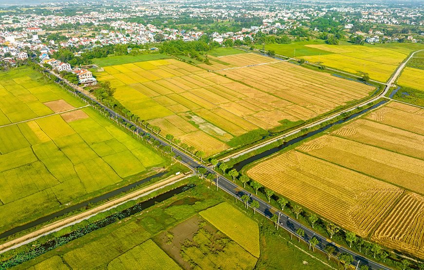 Golden Bridge And Hoi An 5 – Day Culinary Journey