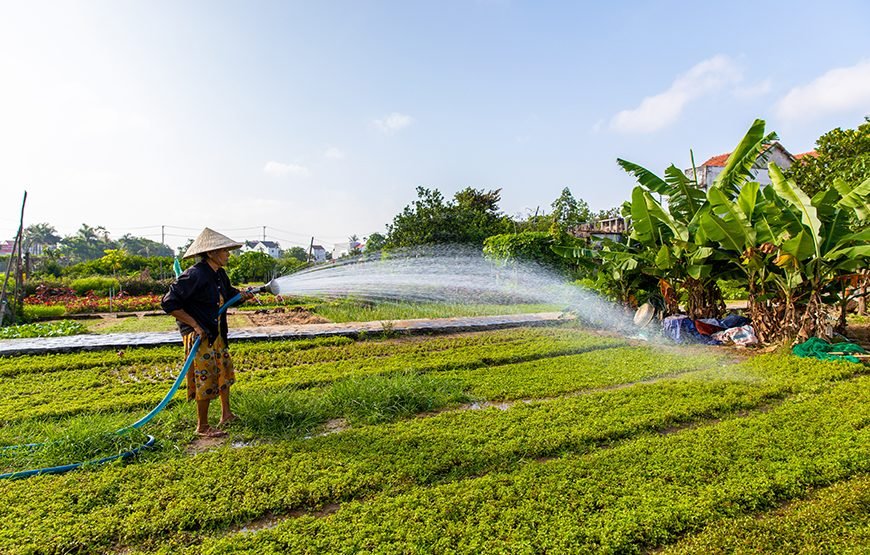 Golden Bridge And Hoi An 5 – Day Culinary Journey