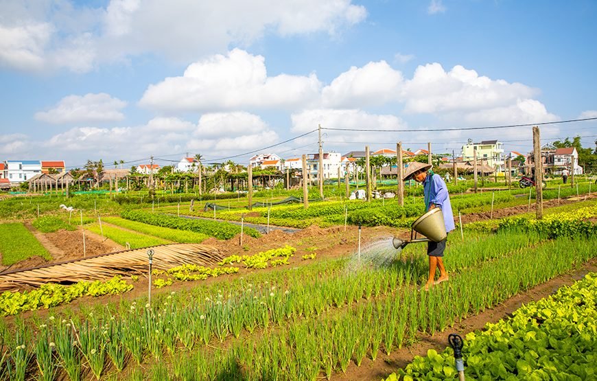Golden Bridge And Hoi An 5 – Day Culinary Journey