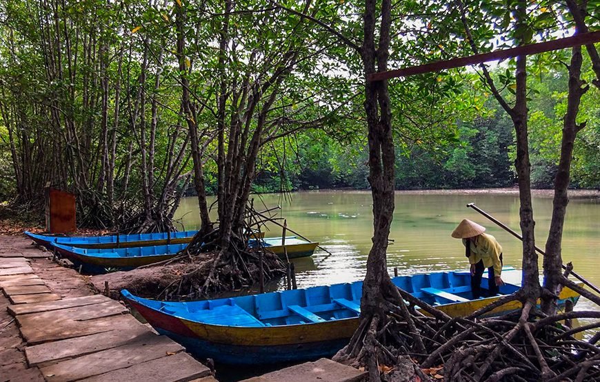 Full-day Can Gio Eco Escape And Wildlife Discovery