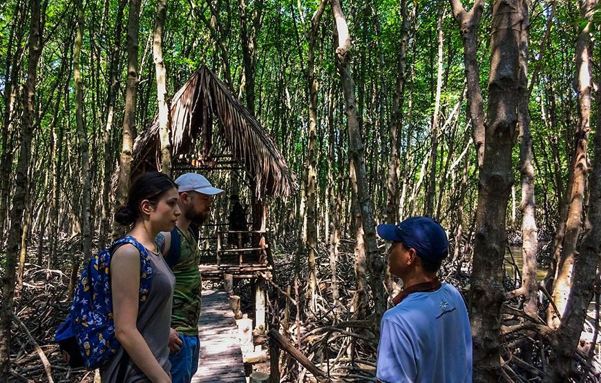 Full-day Can Gio Eco Escape And Wildlife Discovery