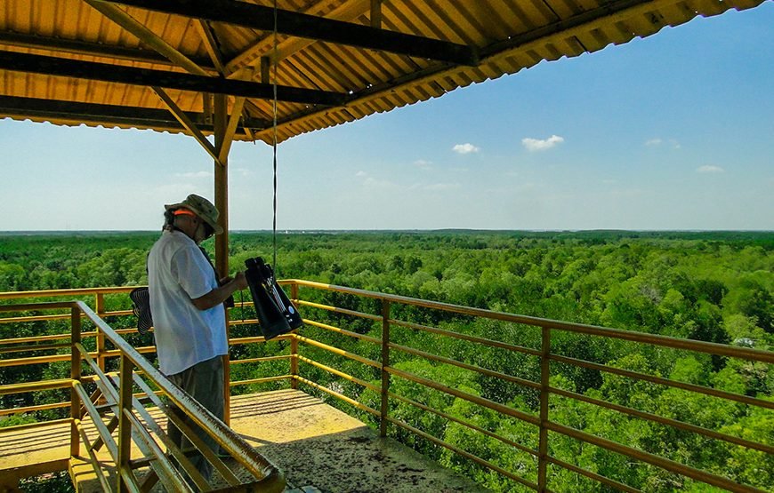 Full-day Can Gio Eco Escape And Wildlife Discovery