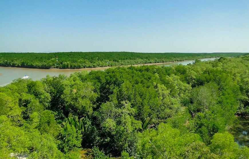 Full-day Can Gio Eco Escape And Wildlife Discovery