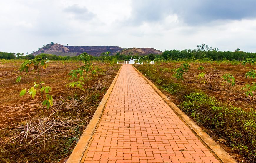 Full-day Long Phuoc Tunnels And Long Tan Battlefield Tour