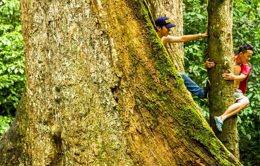 Full-day Cuc Phuong National Park Eco-adventure