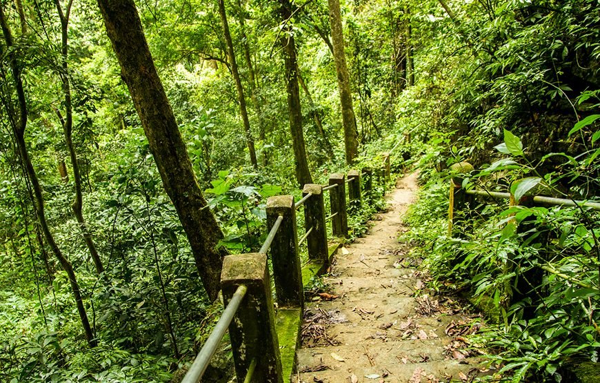 Full-day Cuc Phuong National Park Eco-adventure