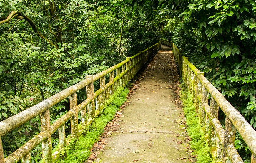 Full-day Cuc Phuong National Park Eco-adventure