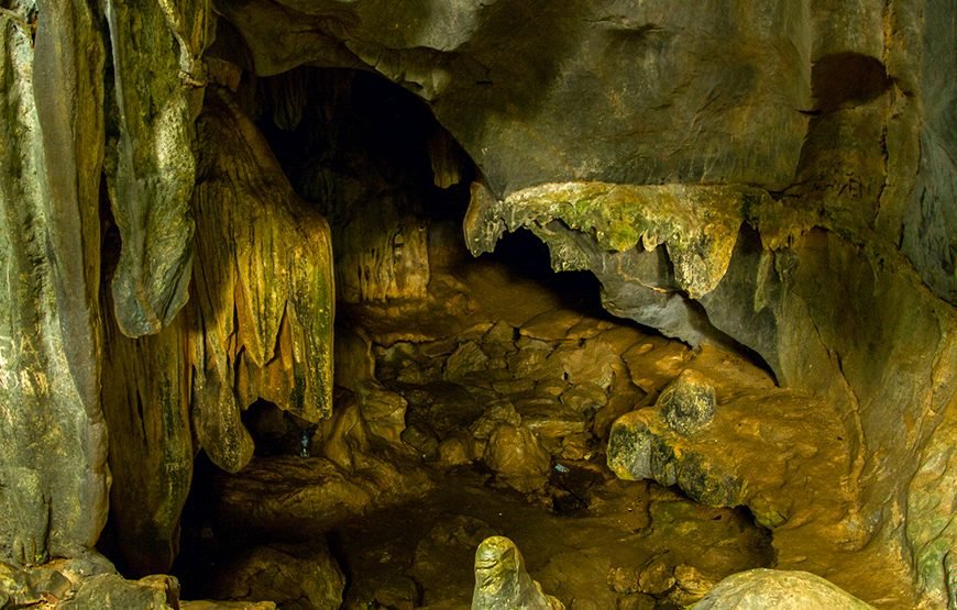 Full-day Cuc Phuong National Park Eco-adventure