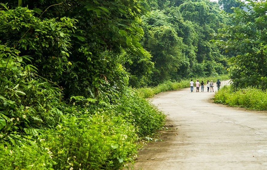 Full-day Cuc Phuong National Park Eco-adventure