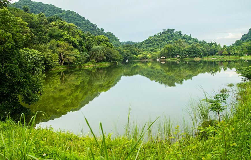 Full-day Cuc Phuong National Park Eco-adventure