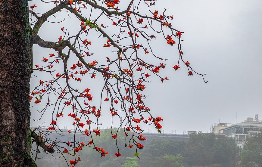 Full-day Journey Through Ha Noi’s History