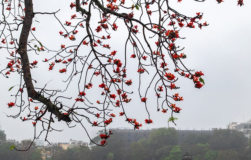 Full-day Journey Through Ha Noi’s History