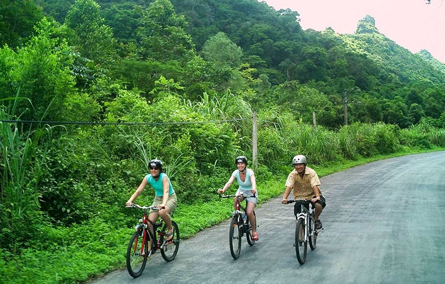 Private tour: Vietnam 13 – Day Heritage And Golden Bridge Tour