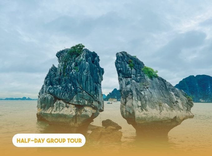 Half-day Ha Long Bay Dream Cruise