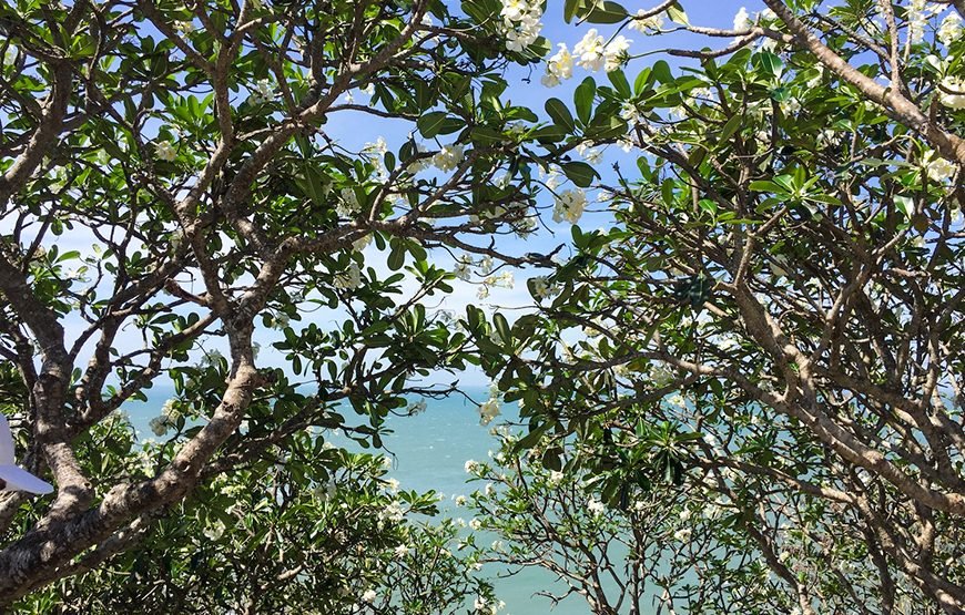 Full-day Vung Tau Coastal Escape