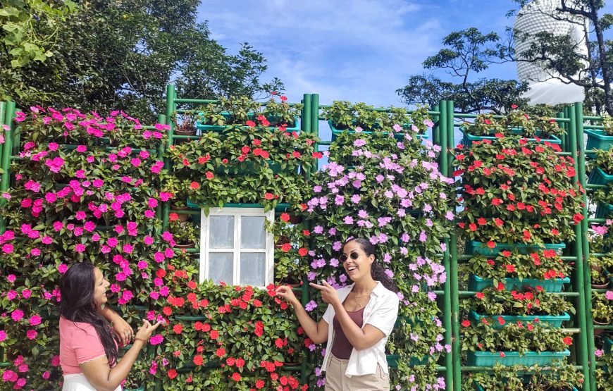 Full-day Ba Na Hills & Amazing Golden Bridge