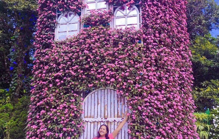 Full-day Ba Na Hills & Amazing Golden Bridge
