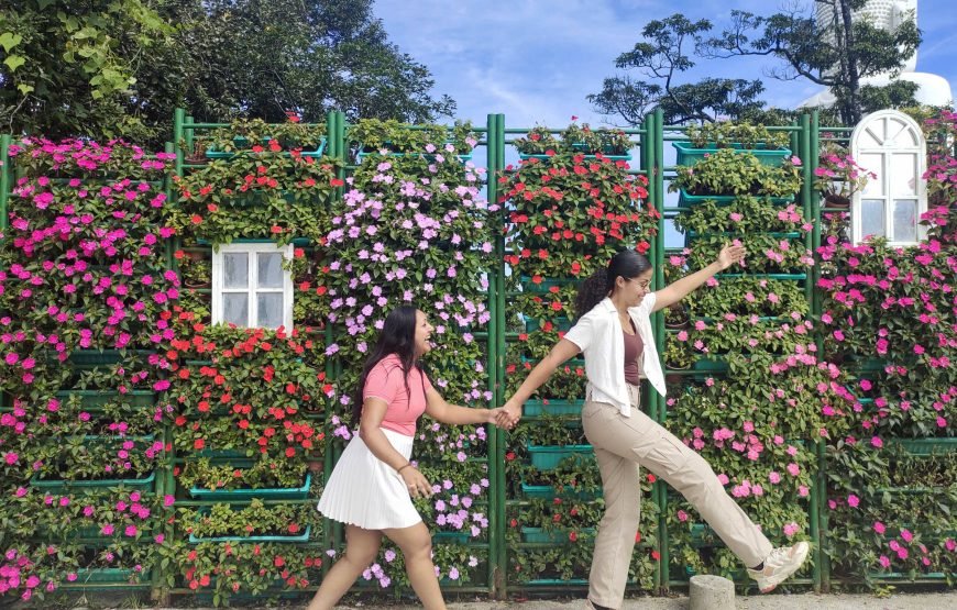 Full-day Ba Na Hills & Amazing Golden Bridge