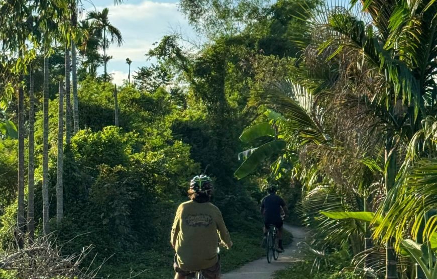 Half-day Hoi An Countryside Cycling Tour With Local Life Insights