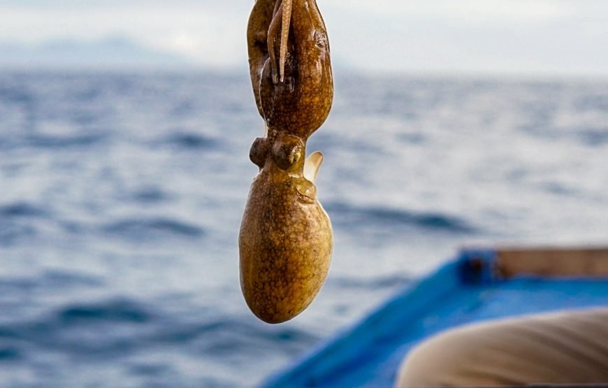 Full-day Phu Quoc Island Snorkeling Adventure