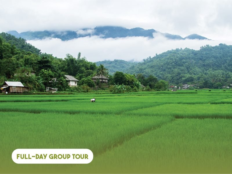 Full-day Authentic Mai Chau Experience