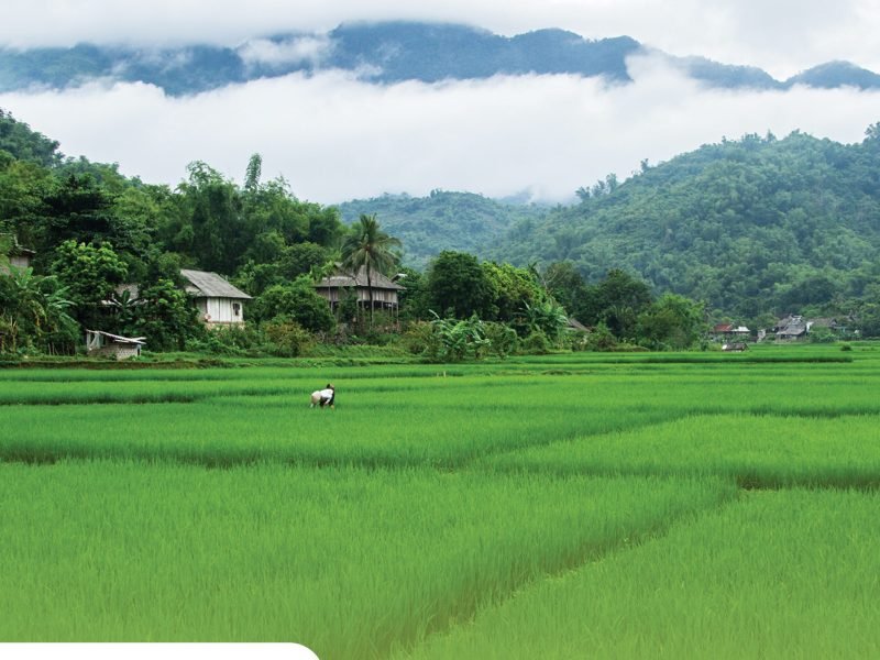 Private tour: Full-day Authentic Mai Chau Experience