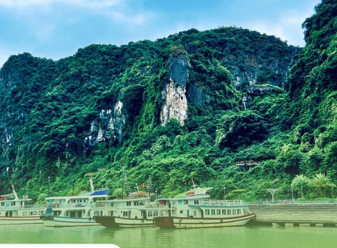 Private tour: Full-day Exploring Ha Long Bay Wonders