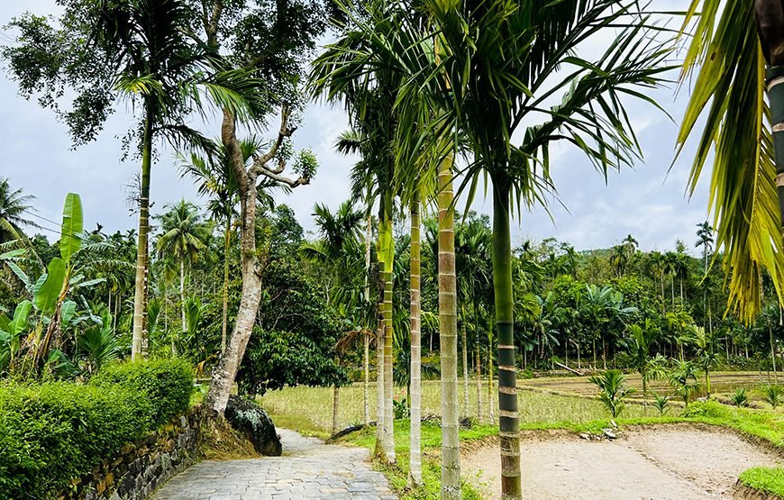 Full-day Loc Yen Ancient Village And O O Waterfall Adventure