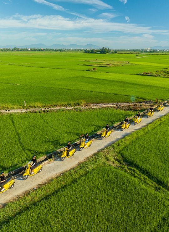 Hoi An Express | Daily Tours | Tranportation | Tickets | Tailor Made Tours|