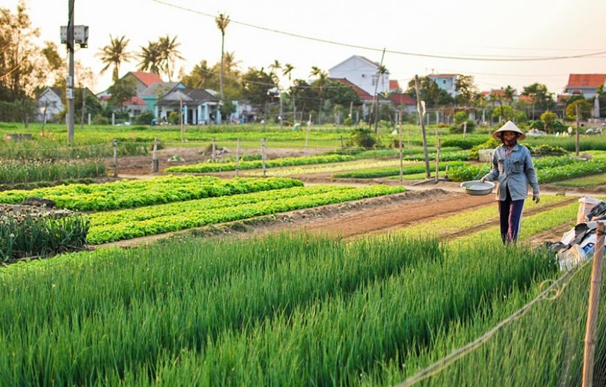 Private tour: Vietnam 13 – Day Heritage And Golden Bridge Tour