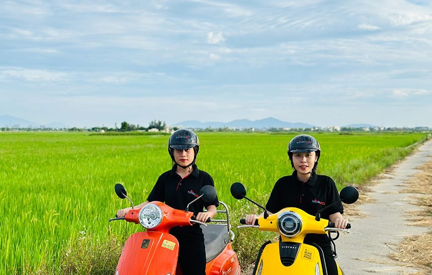 Private tour: Vietnam 13 – Day Heritage And Golden Bridge Tour
