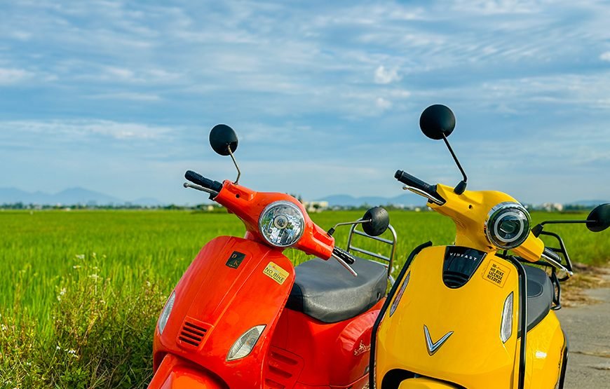 Private tour: Vietnam 13 – Day Heritage And Golden Bridge Tour