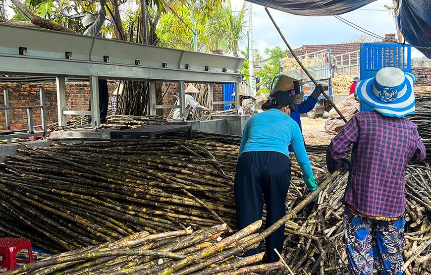 Full-day Cultural Cruise Discovering Hoi An’s Treasures And Rhum Production